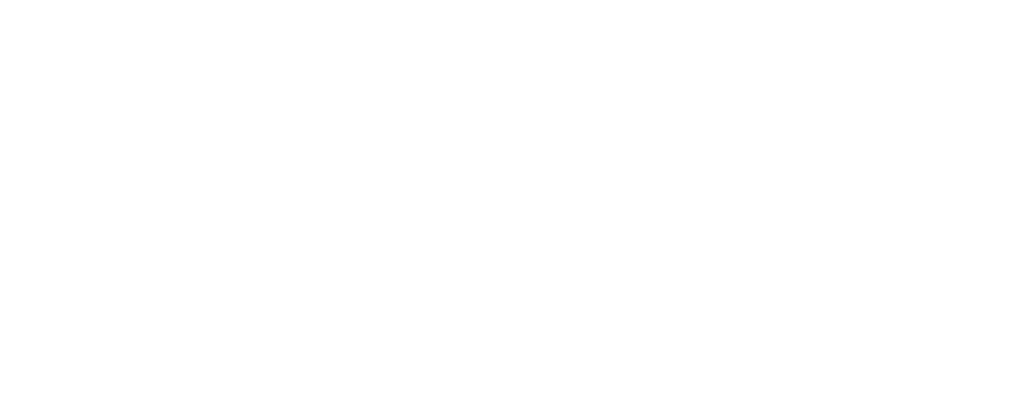 Bliss Cruise